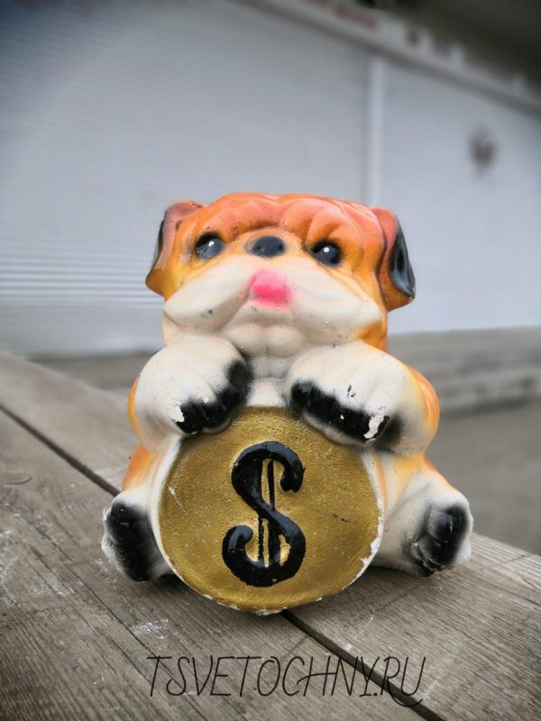 Толстый щенок с монетой