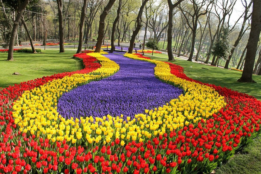 Парк в Стамбуле во время фестиваля тюльпанов