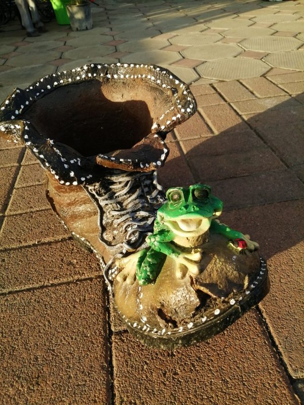 Старый ботинок с лягушкой