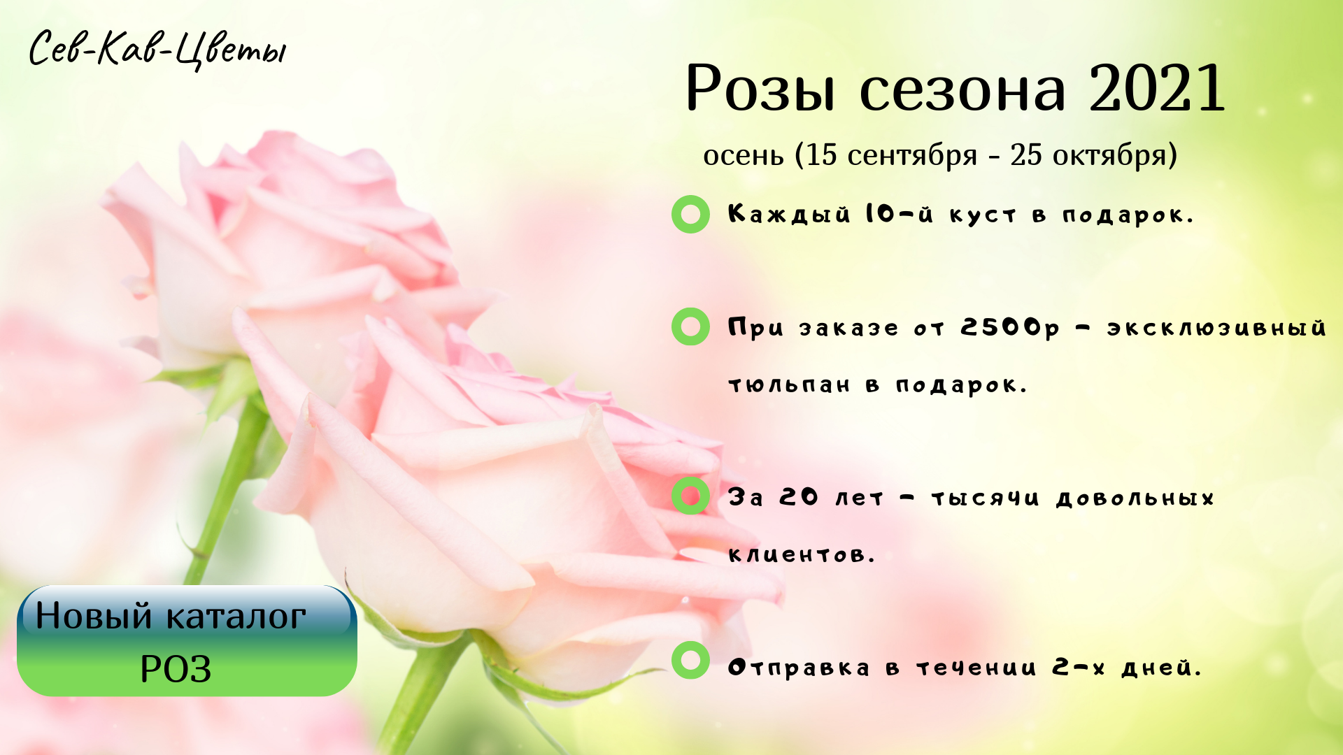 Розе 2021. Цветок кав. Каталоги роз на осень 2024 года
